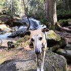 Rißlochklamm im bayerischen Wald