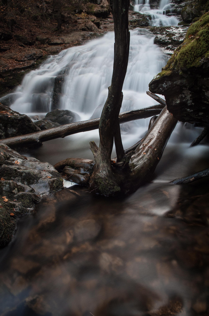 Rißlochschlucht in Niederbayern