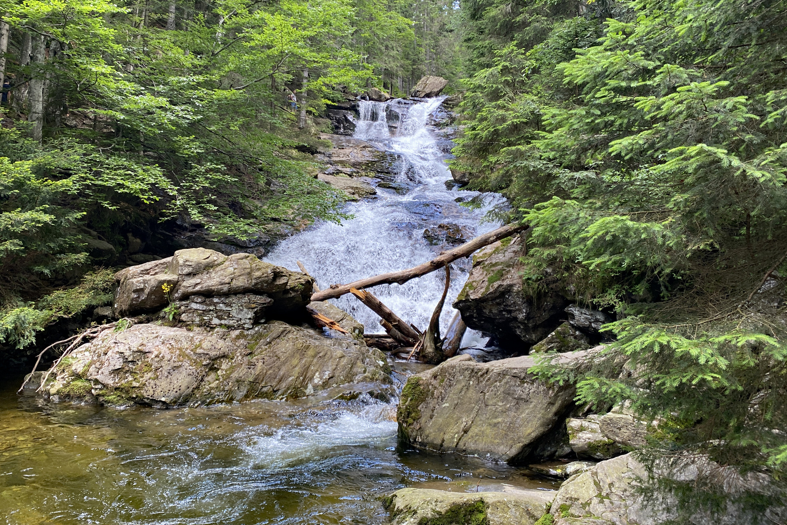 Rißlochwasserfälle Bodenmais