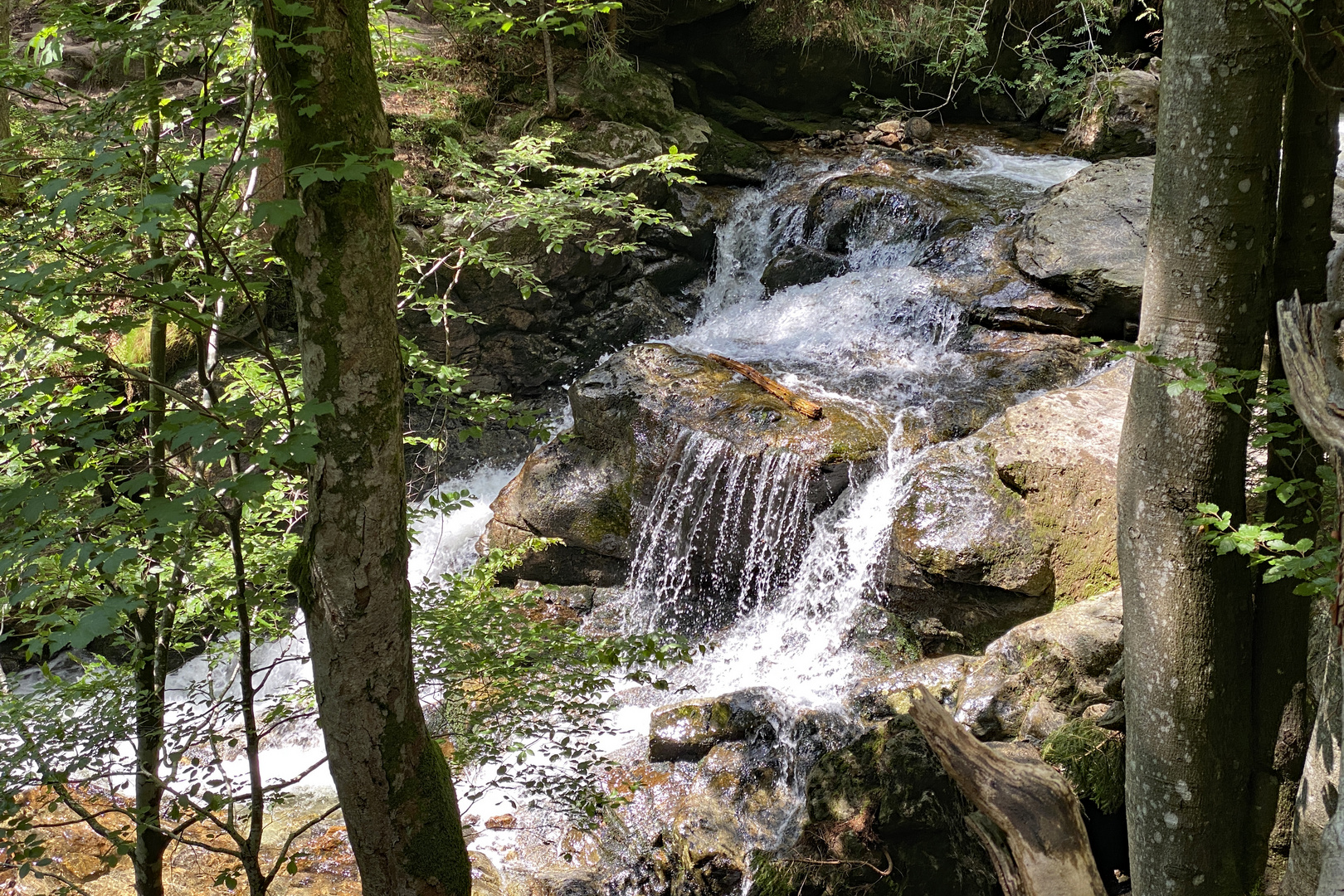 Rißlochwasserfälle Bodenmais