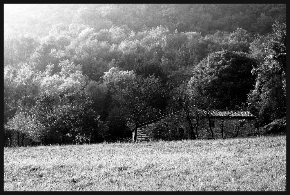 Risveglio al vecchio mulino...