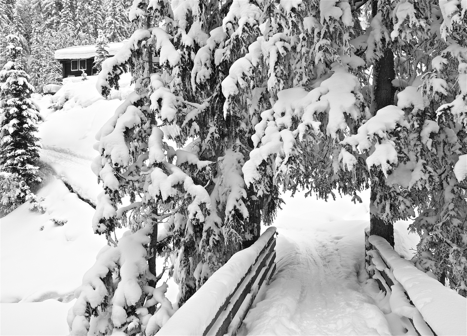 Ritelibrücke,Maderanertal