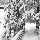 Ritelibrücke,Maderanertal