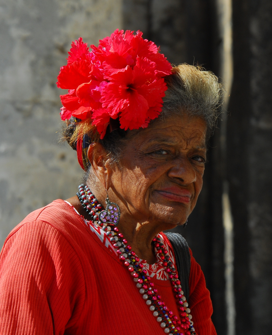 Ritratto di una dama cubana