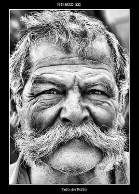 ritratto n° 331