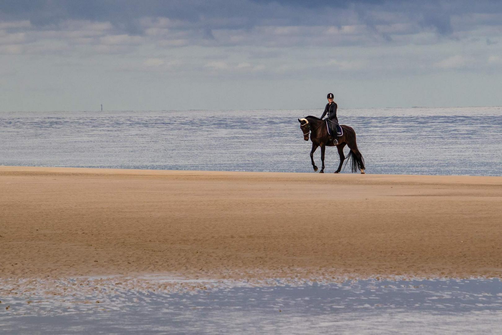 Ritt am Strand