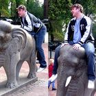 Ritt auf dem Elefanten