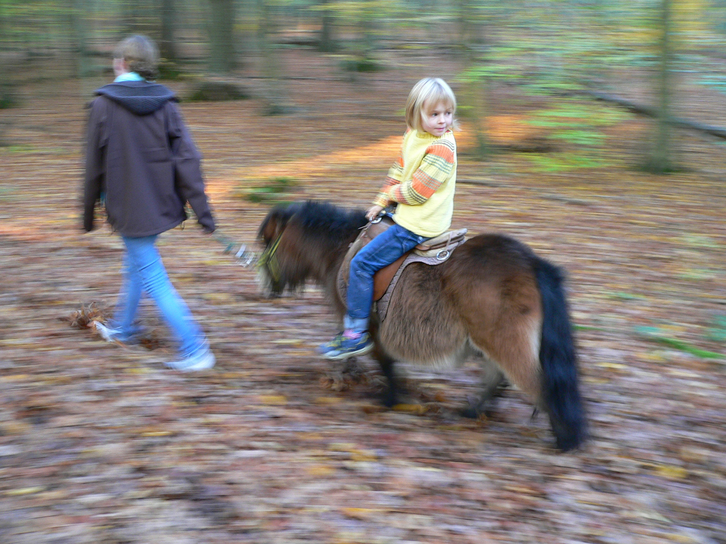 Ritt durch den Herbst