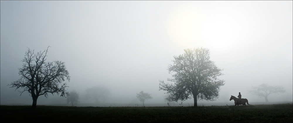 Ritt durch den Nebel