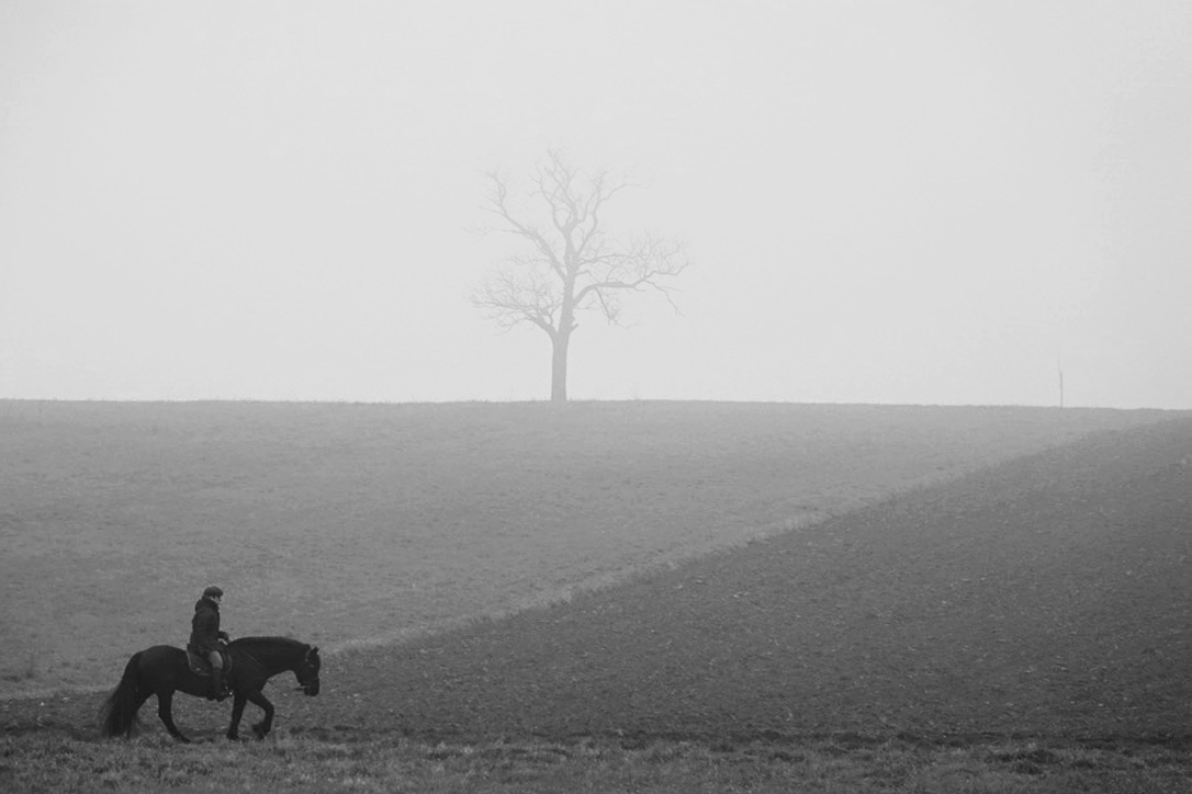 Ritt im Nebel