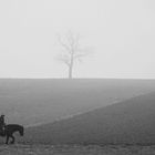 Ritt im Nebel