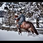 Ritt im Schnee