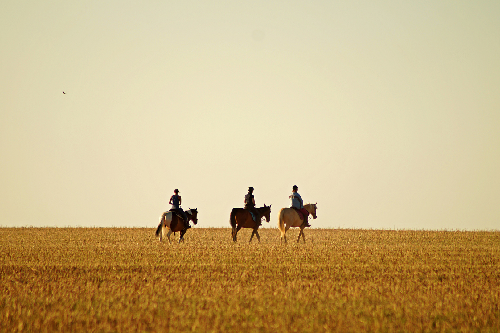 Ritt in den Sonnenaufgang