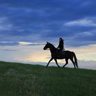 Ritt in der Abendsonne