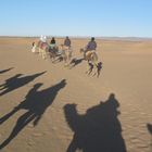 Ritt in die Sahara bei Zagora