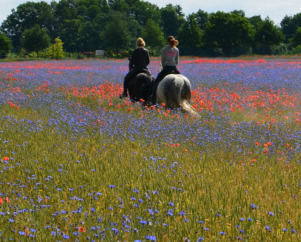 Ritt ins Blaue