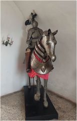 Ritter aus der Burg Bitov