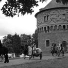 Ritter aus Leidenschaft