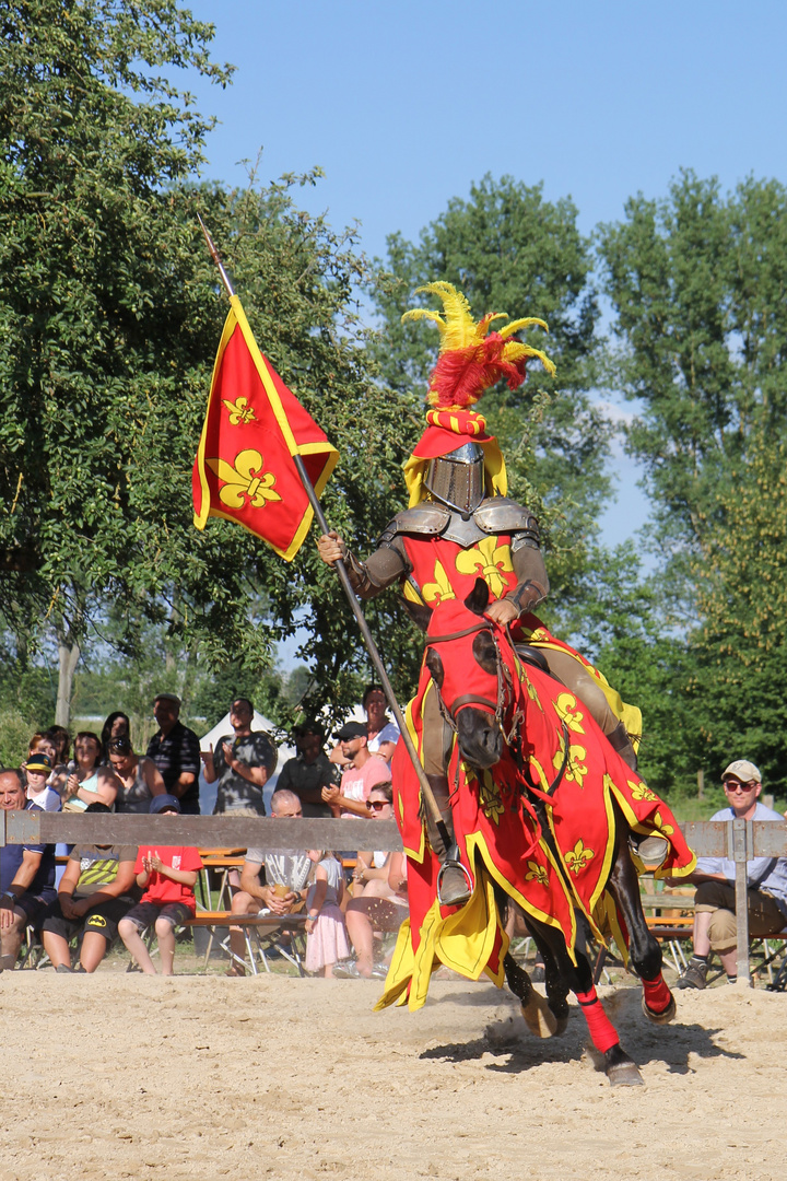 Ritter Dieburg 2018  ( 7/10 )