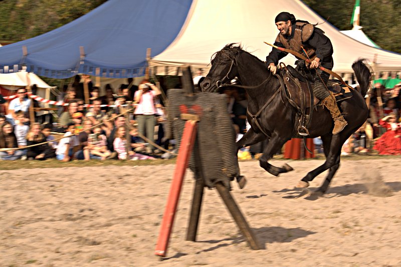 Ritter im Tunier