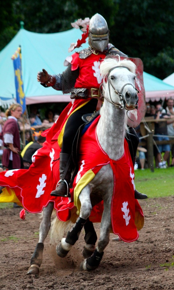 Ritter in Warrick Castle