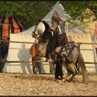 Ritter mit Pferd I