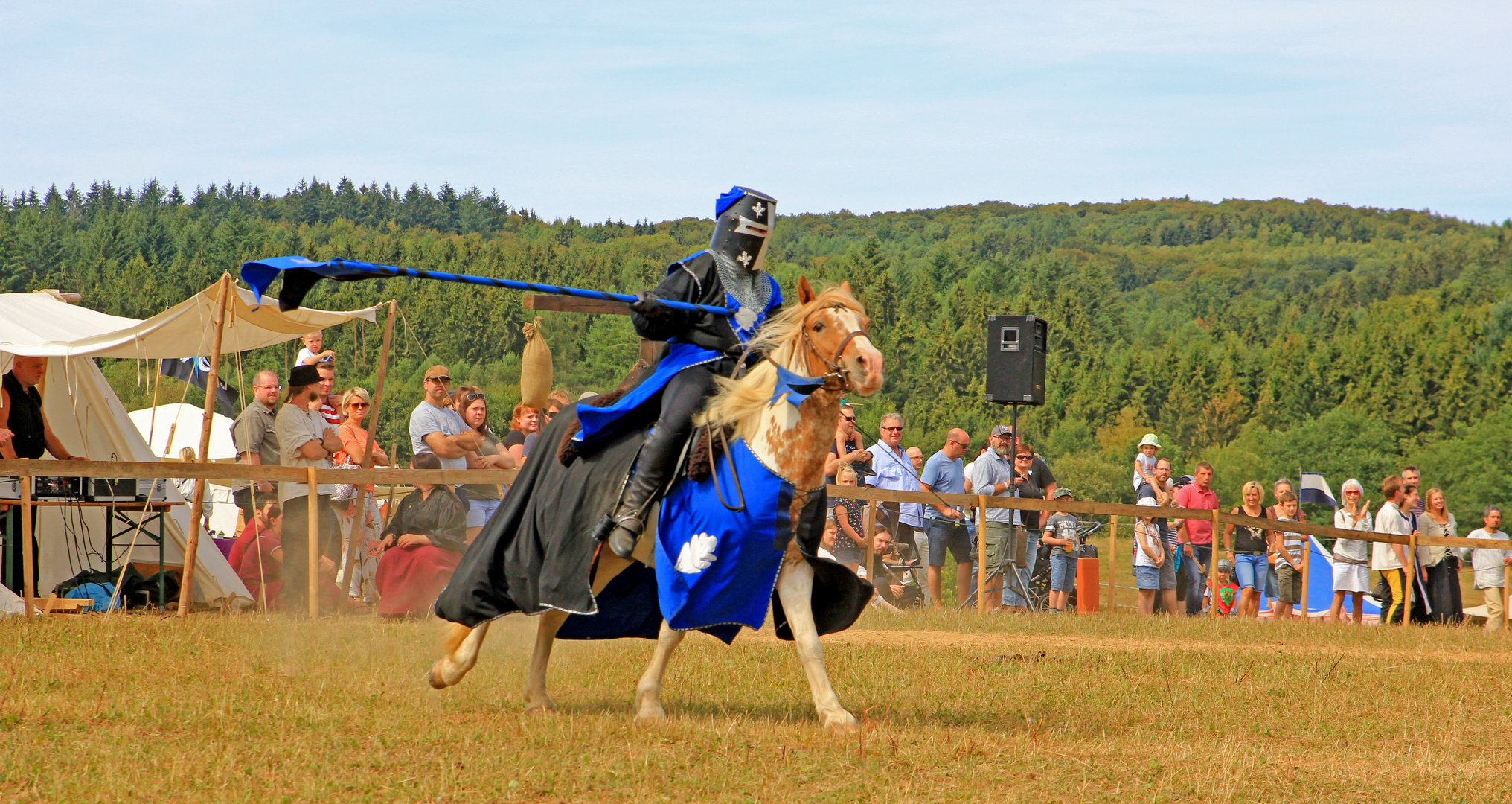 Ritter ohne Furcht und Tadel