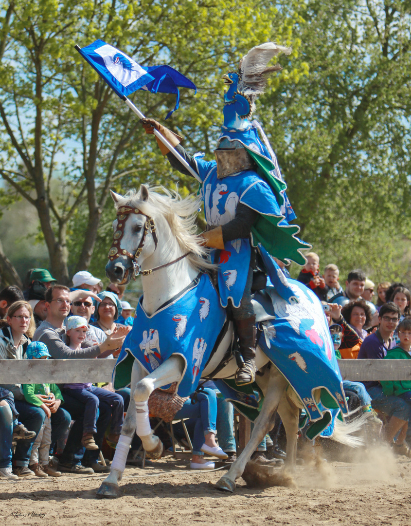 Ritter Spektakel, Groß-Zimmern, 2015