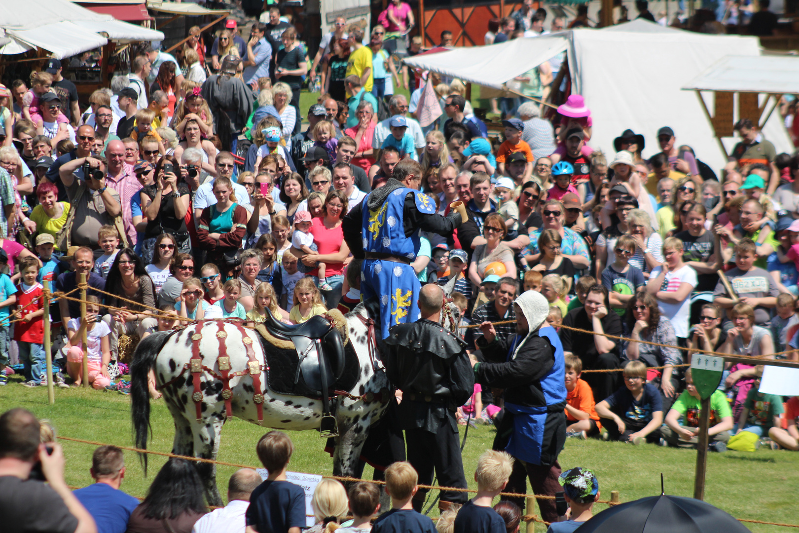 Ritter steigt auf