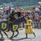 Ritter Turnier in Südtirol 2014