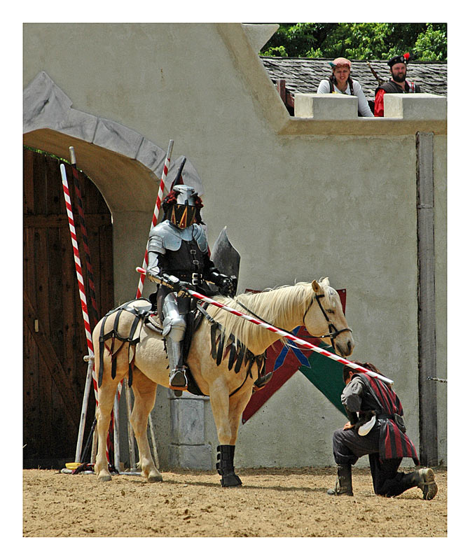 Ritter und Knappe Foto & Bild | Natur, Tier und Mensch, Tiere Bilder