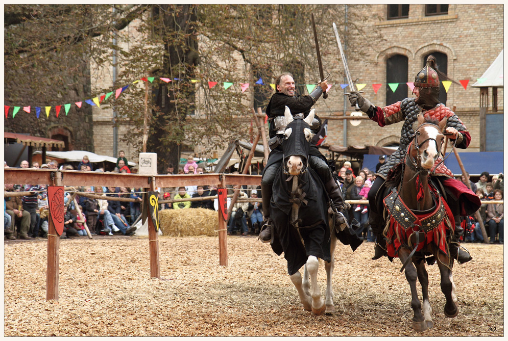 Ritterfest in Magdeburg 7