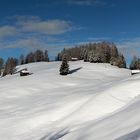 ... Ritwiesen - Südtirol ...