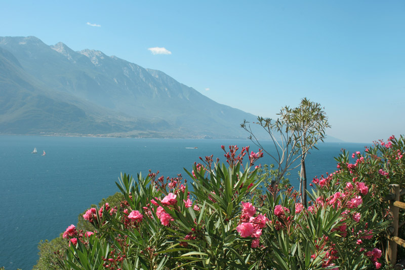 Riva del Garda