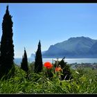 Riva del Garda II