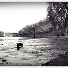 Riva del tevere