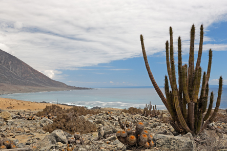 Rivage au bord du désert d'Atacama