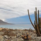 Rivage au bord du désert d'Atacama