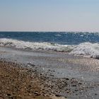 Rivage landais - 2 -- Mer, sable, soleil et coquillages