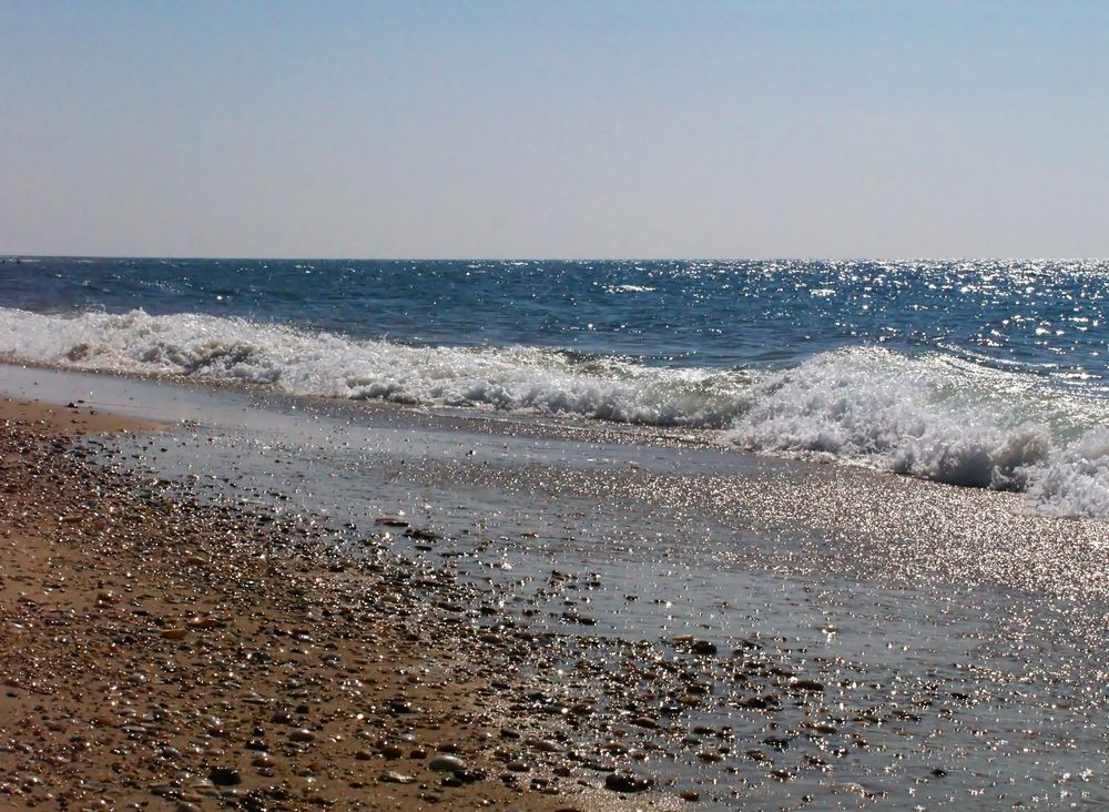Rivage landais - 2 -- Mer, sable, soleil et coquillages