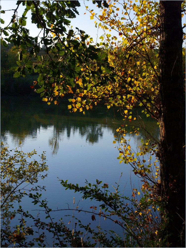 Rive d’un petit lac à l’automne - Ufer eines kleinen Sees im Herbst