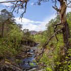 River Affric