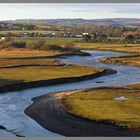 River Aln and Hipsburn 3