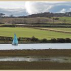 River Aln at Alnmouth