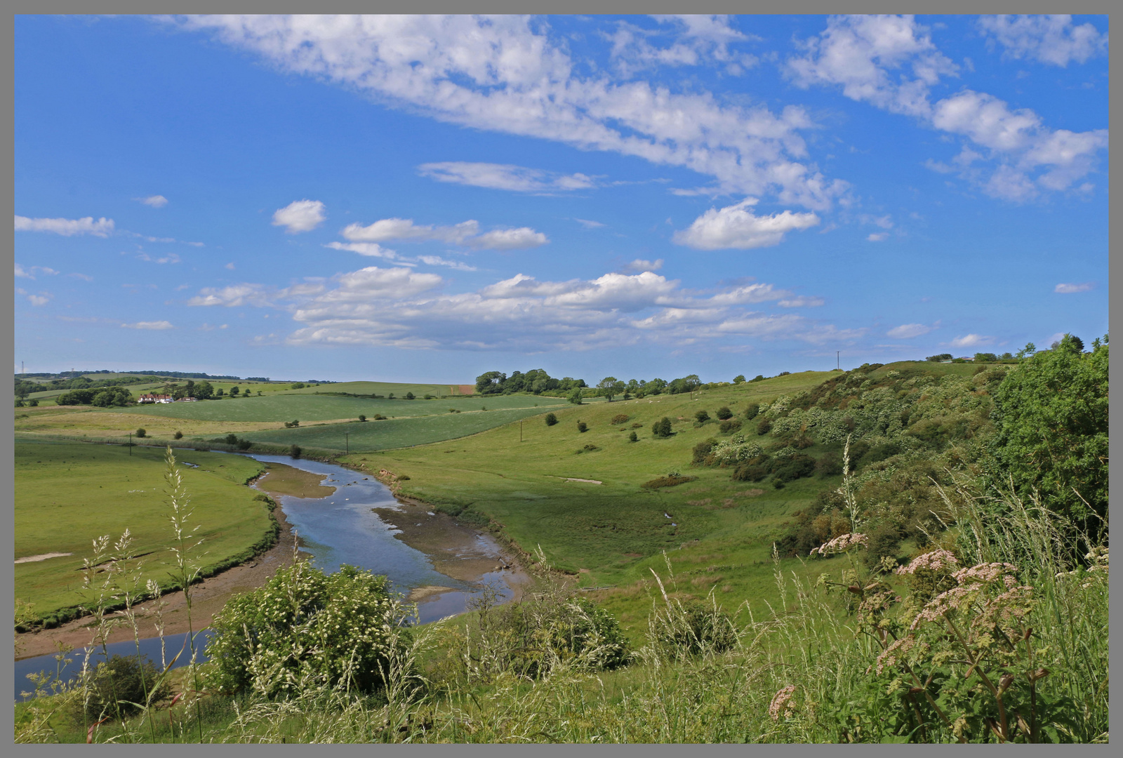 river aln near alnmouth Northumberland 2