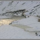 River Alwin near Clennell 2