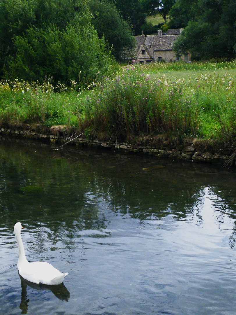 River at Bibury, Cotswolds