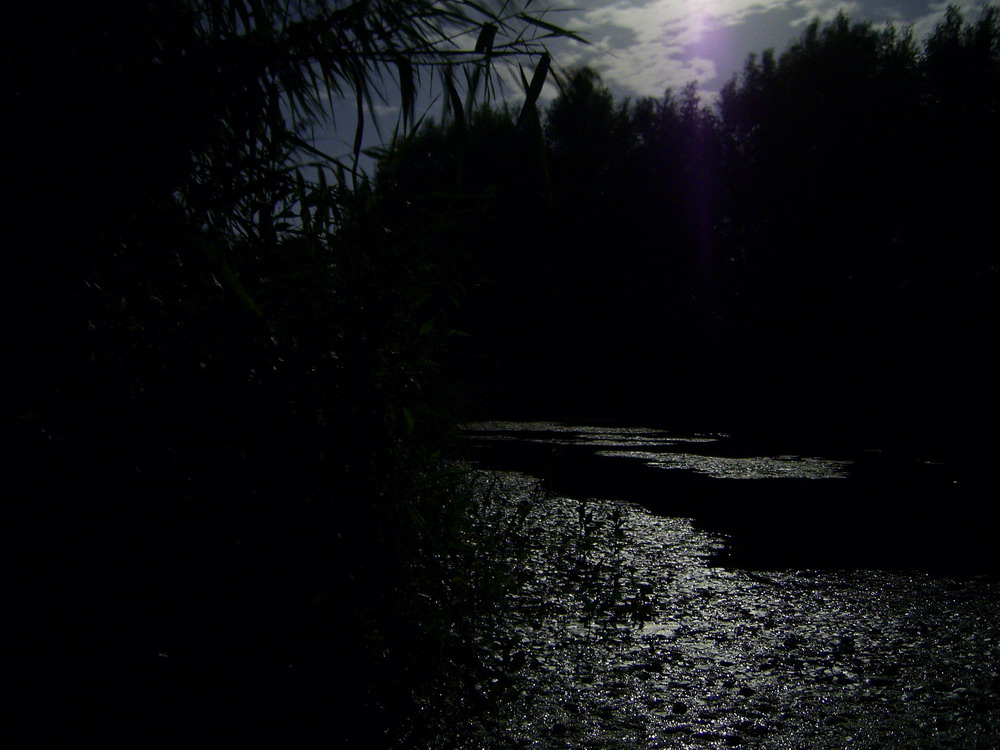 River At Night