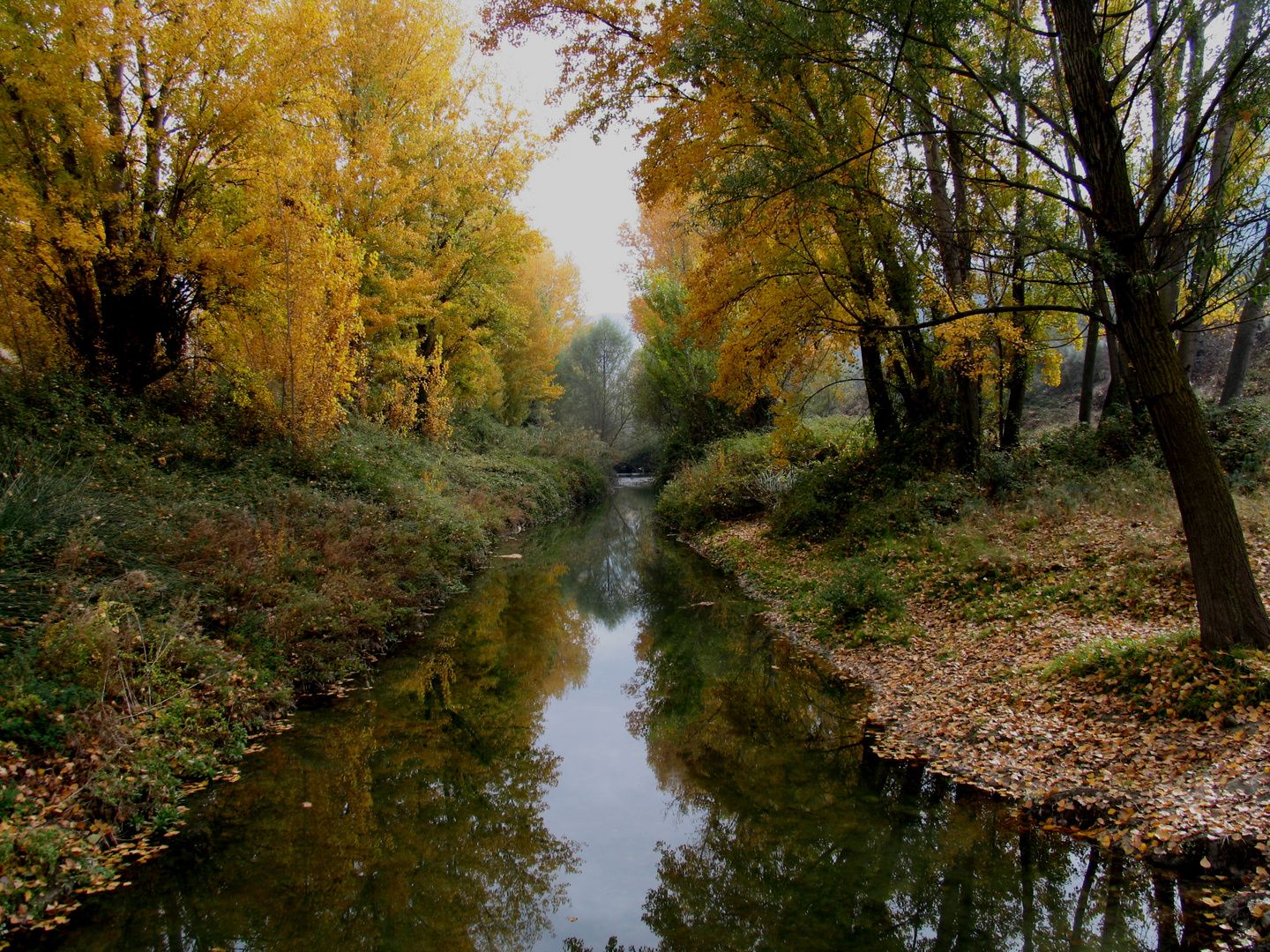 RIVER AUTUMN