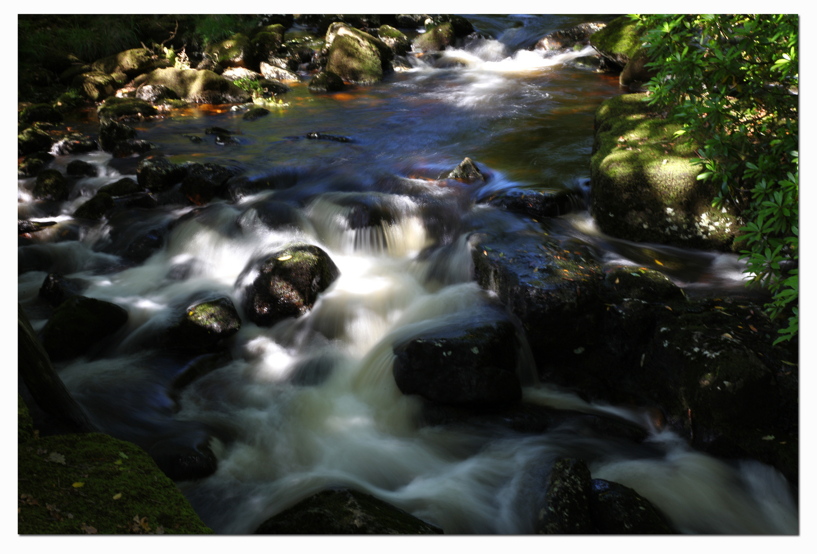 River Avon